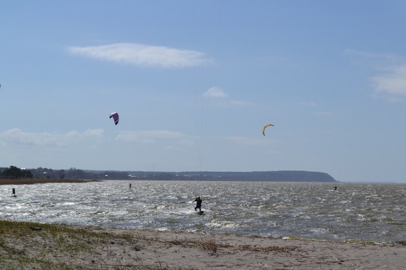 DSC_0009.jpg