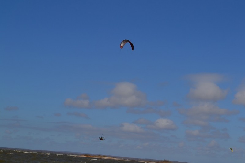 DSC_0042.jpg
