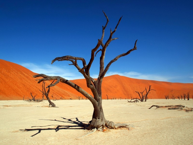 namibia.jpg