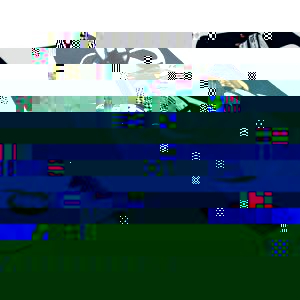 41qfHc37FaL__SL500_AA300_.jpg